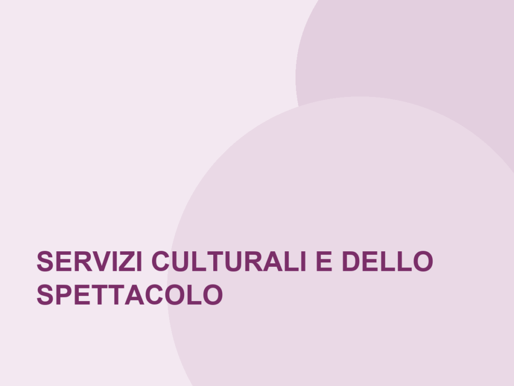Corso nel settore Servizi culturali e dello spettacolo
